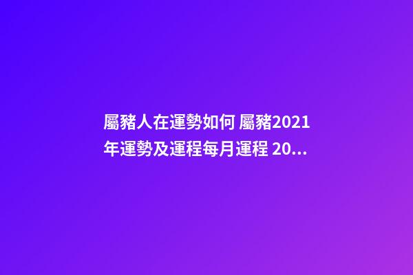 屬豬人在運勢如何 屬豬2021年運勢及運程每月運程 2021年屬豬人的全年運勢-第1張-觀點-玄機派